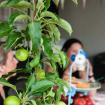 sfeerfoto appels en koffie drinken met appeltaart verticaal