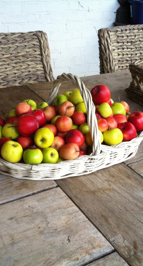 Appeltjes in mandje op tuintafel Mieke