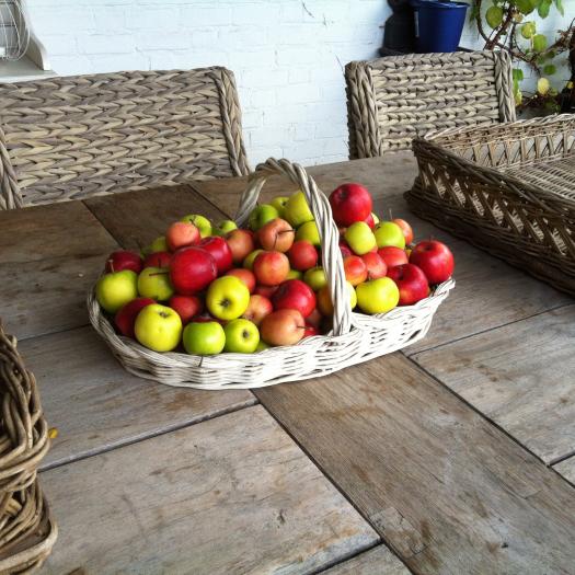 Appeltjes in mandje op tuintafel Mieke