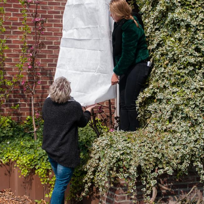 bloesembeschermer groot samen omdoen